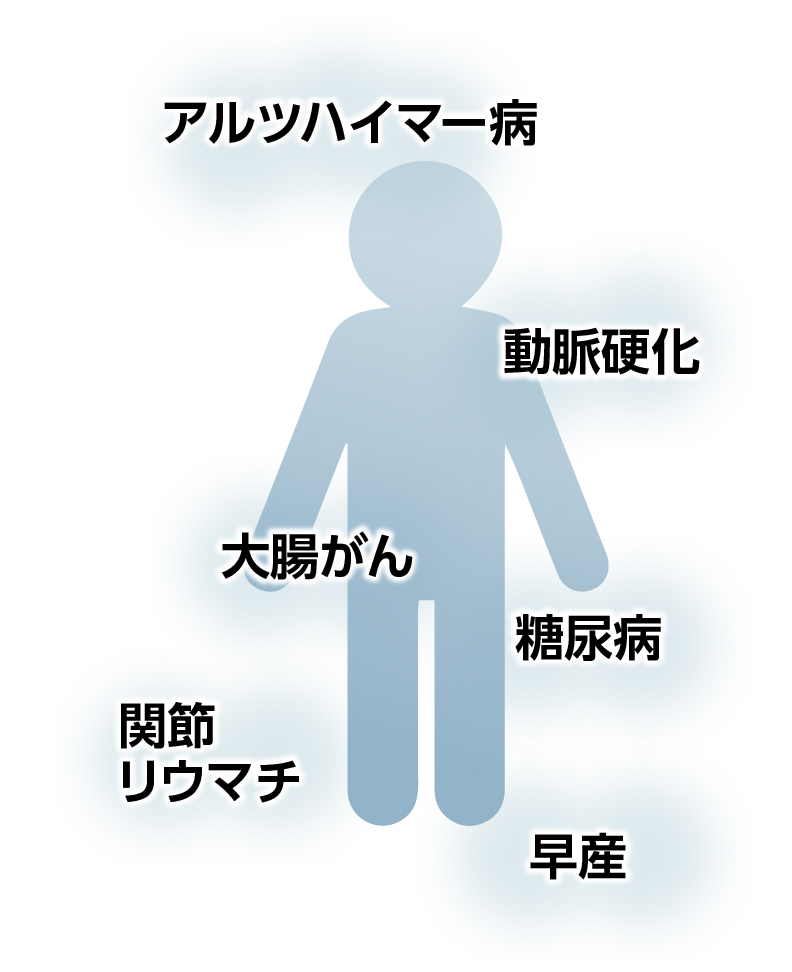 パーティを彩るご馳走や 新しい健康科学への架け橋 歯周病と全身疾患の 